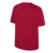 Arkansas Colosseum YOUTH Ripple Poly Tee